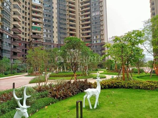 奥园园著离殡仪馆有多远，奥园园著