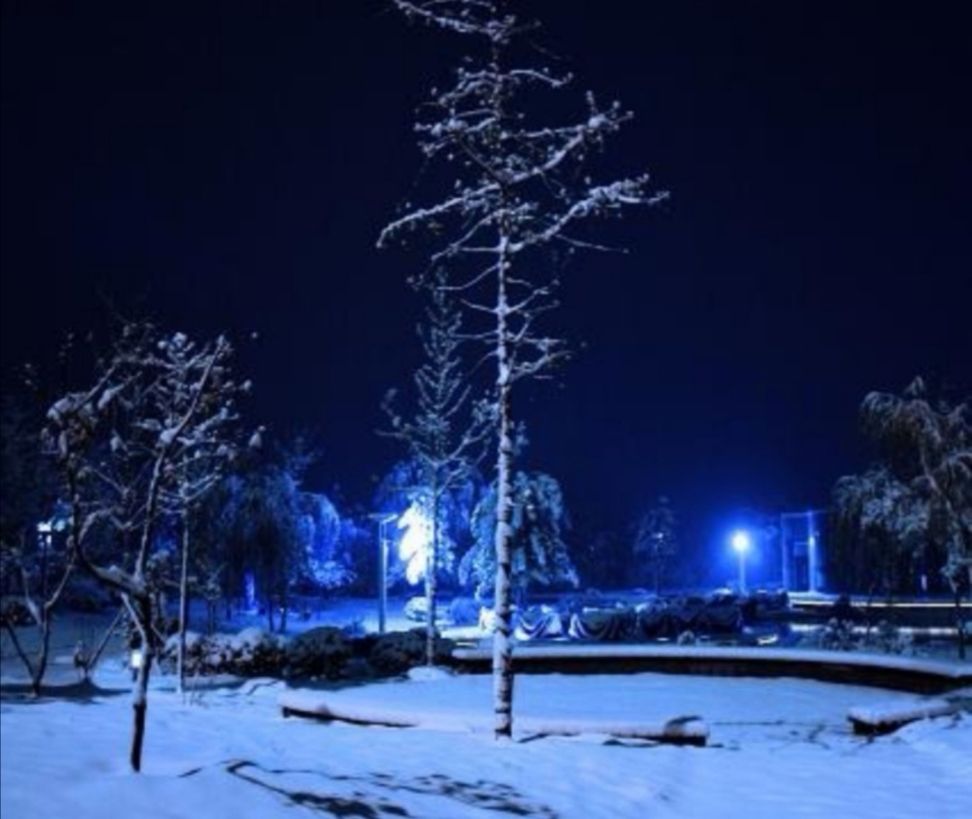 花白的花的意思是什么，白花花的意思