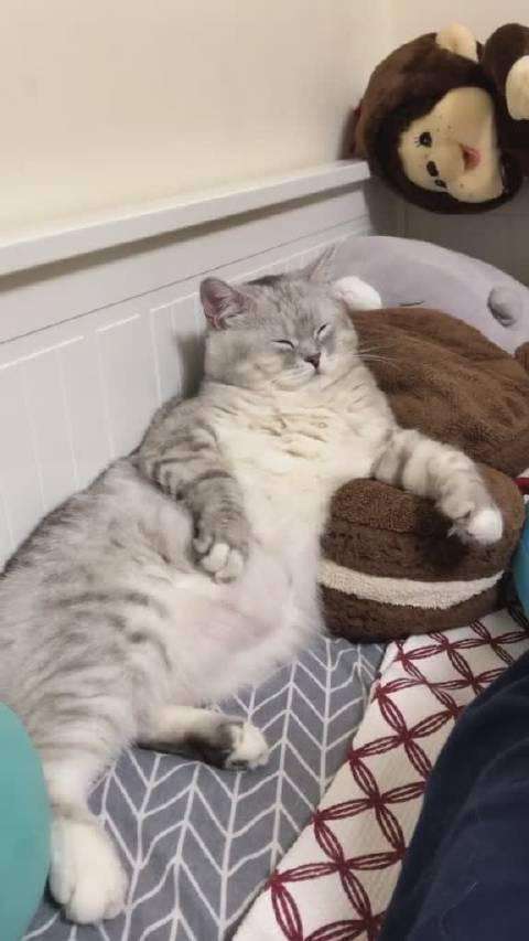 包含啊啊好舒服的词条