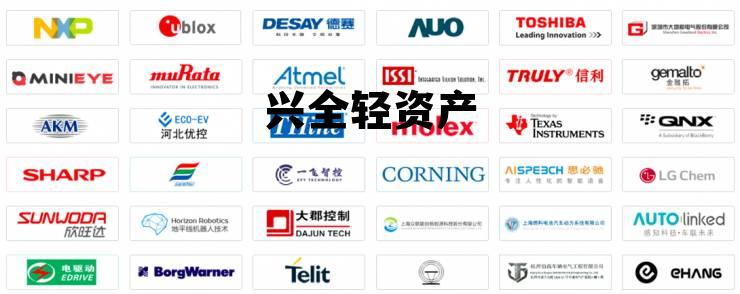 兴全轻资产混合基金163412今日净值,兴全轻资产 兴全轻资产混合基金163412今日净值,兴全轻资产