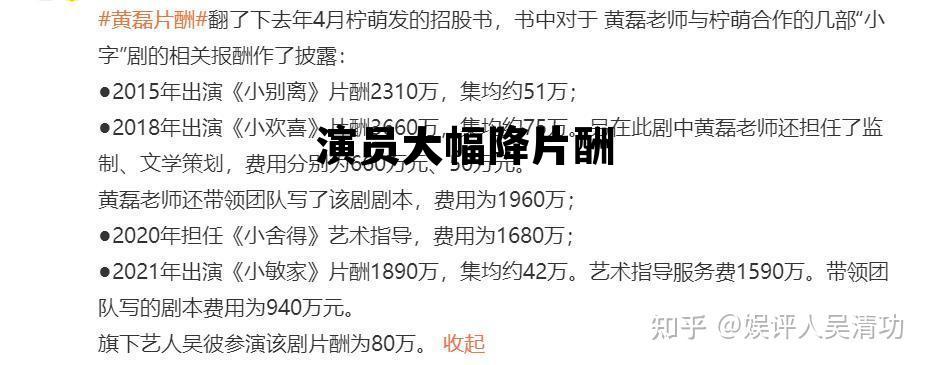 演员片酬排名一览表，演员大幅降片酬