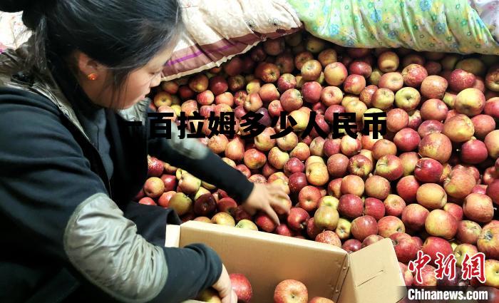 一百万迪拉姆是多少人民币,一百拉姆多少人民币 一百万迪拉姆是多少人民币,一百拉姆多少人民币