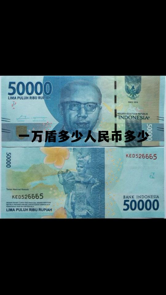 一万元越盾换人民币多少，一万盾多少人民币多少