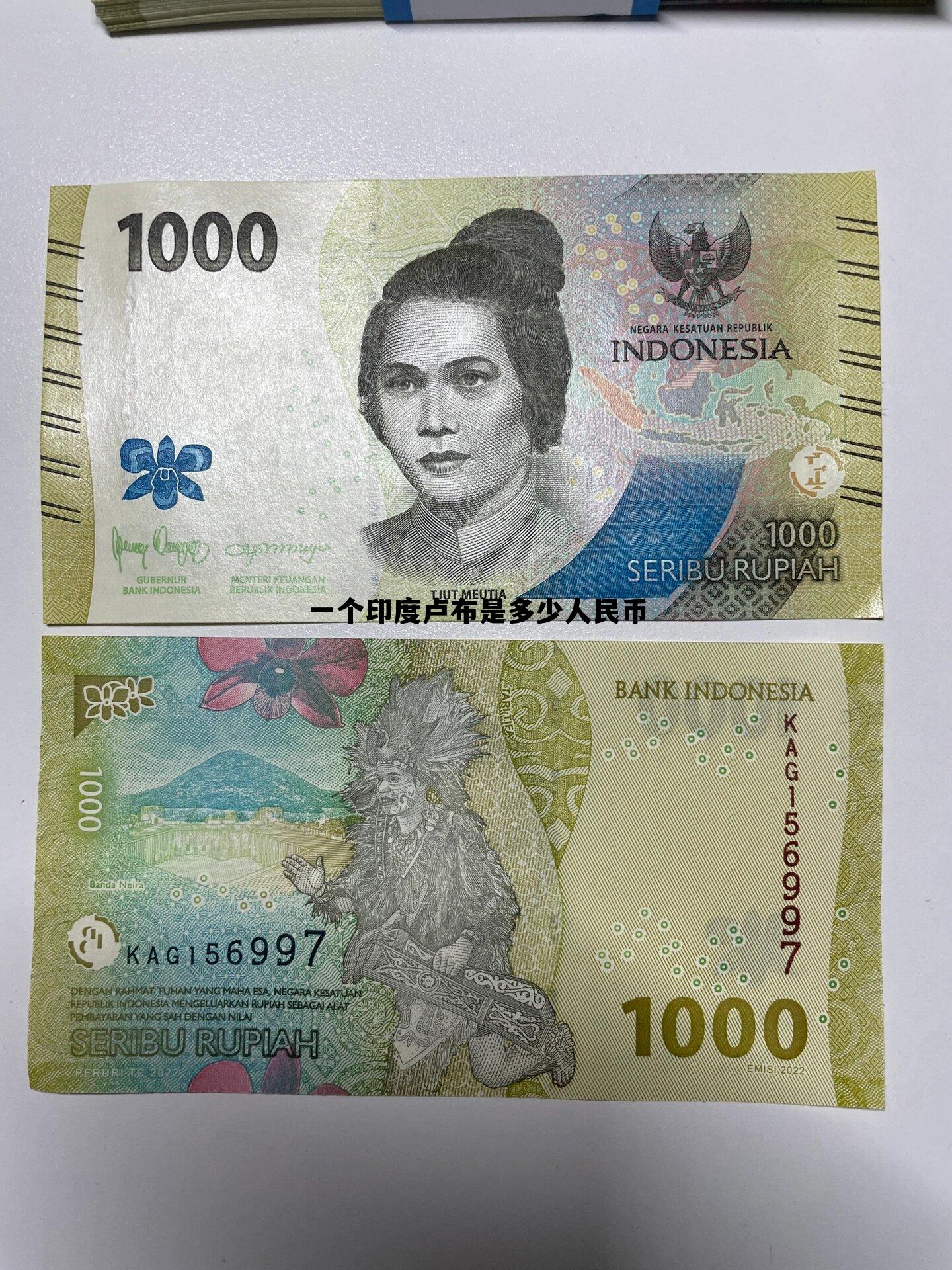 一亿卢布价值多少人民币，一个印度卢布是多少人民币