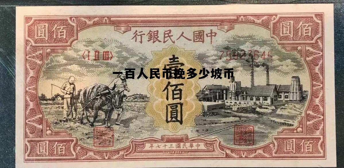 币圈最火的十大币，一百人民币挽多少坡币