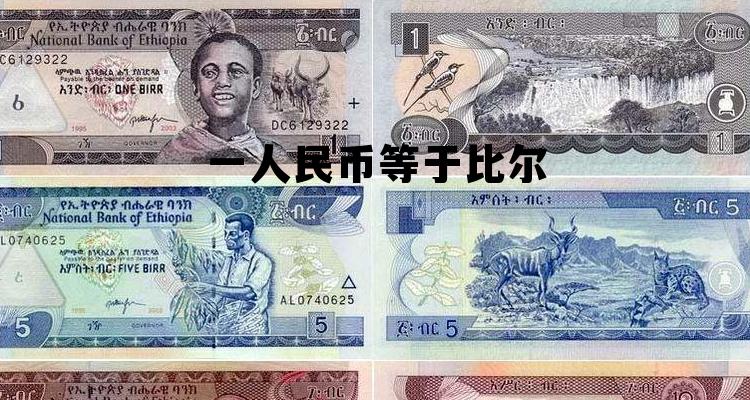 100比尔等于多少人民币，一人民币等于比尔