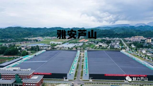 雅安到芦山县多少公里，雅安芦山