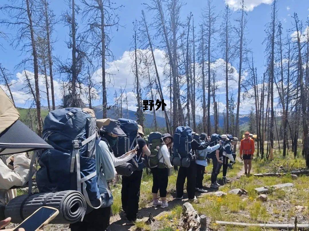野外生存大挑战,野外 野外生存大挑战,野外