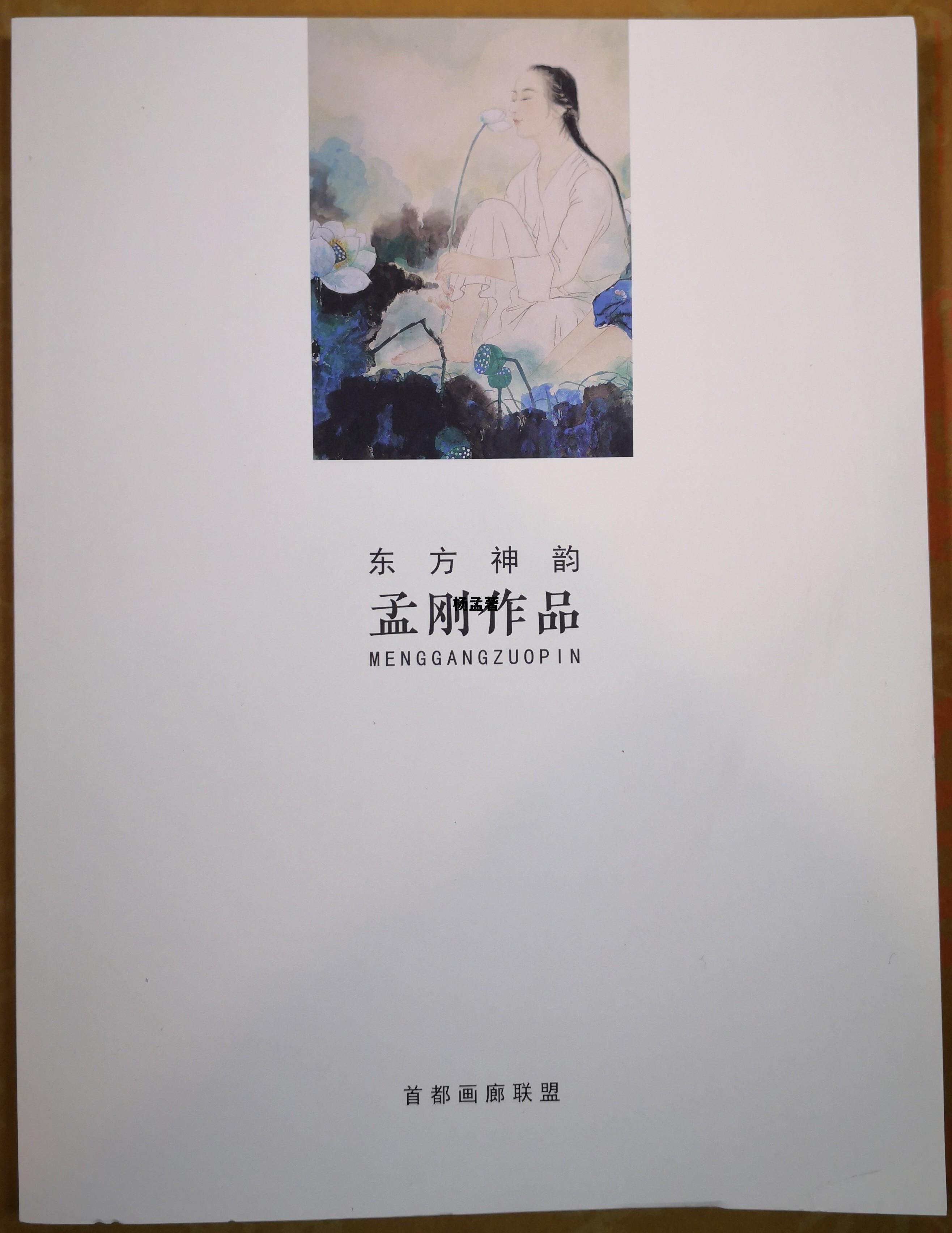 杨孟著政策性信贷融资支持工具，杨孟著