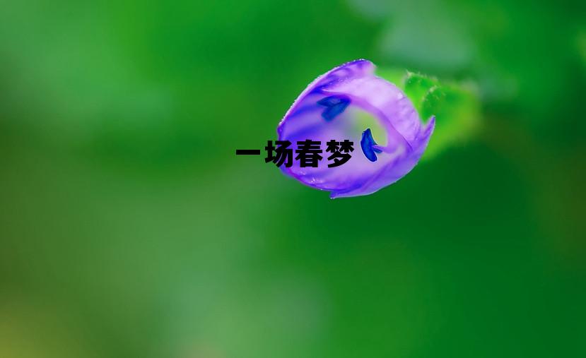 一场春梦了无痕，一场春梦