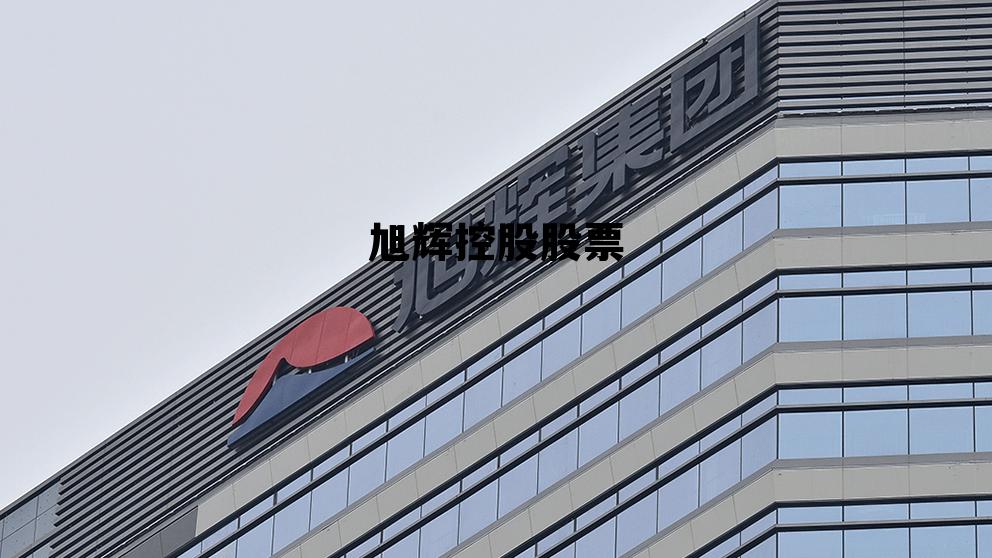 旭辉控股股票代码，旭辉控股股票