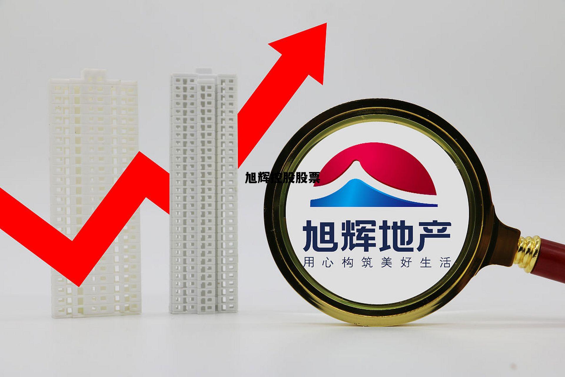 旭辉控股股票代码，旭辉控股股票