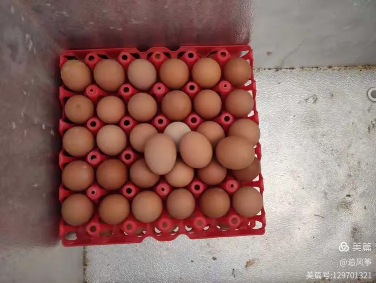 行实和行实有什么区别，行实