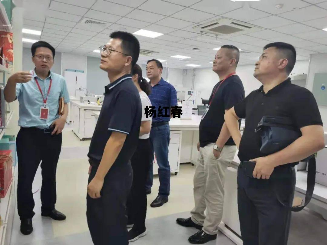 武汉大学杨红春，杨红春