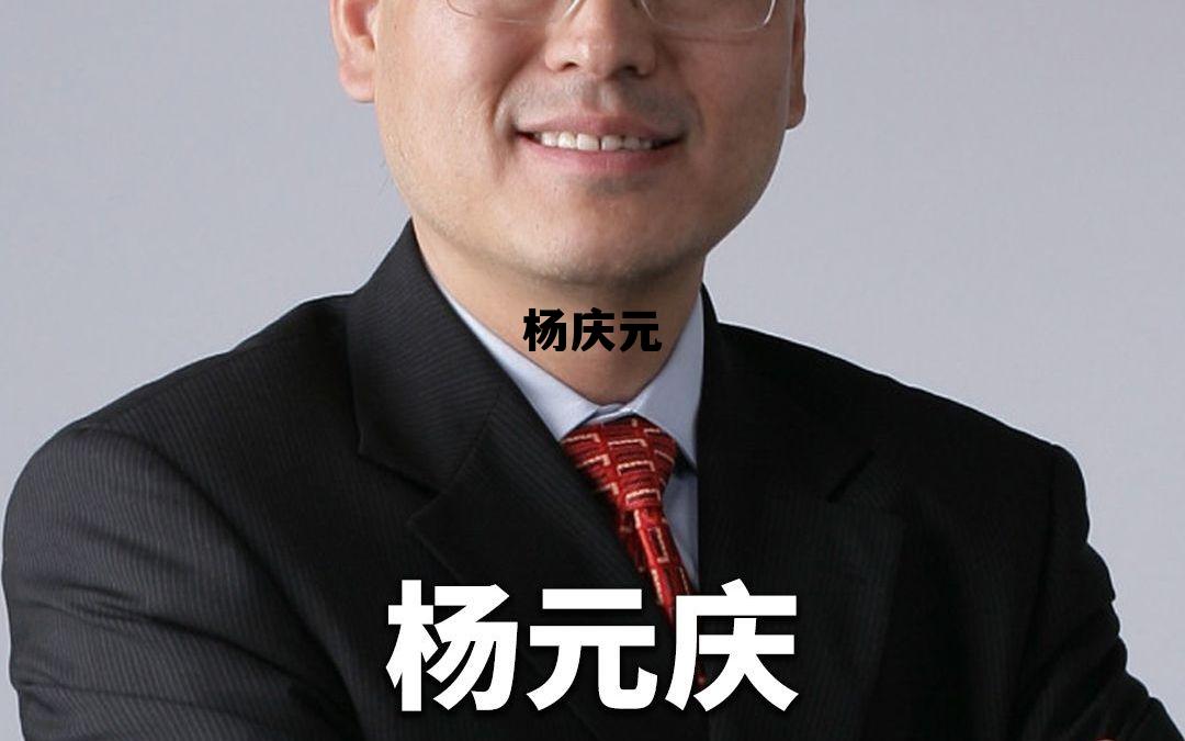 杨元庆柳传志，杨庆元